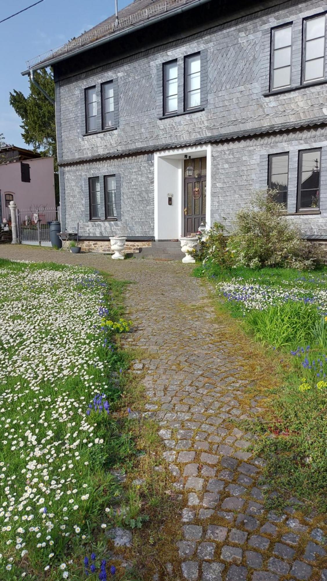 Zum Alten Pfarrhaus Damscheid Екстер'єр фото